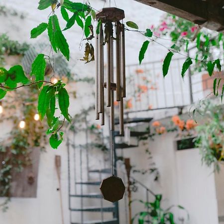ميديلين Florentina Symbiosis المظهر الخارجي الصورة