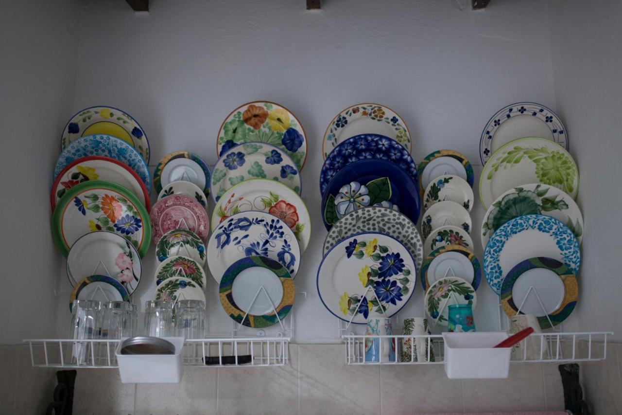 ميديلين Florentina Symbiosis المظهر الخارجي الصورة